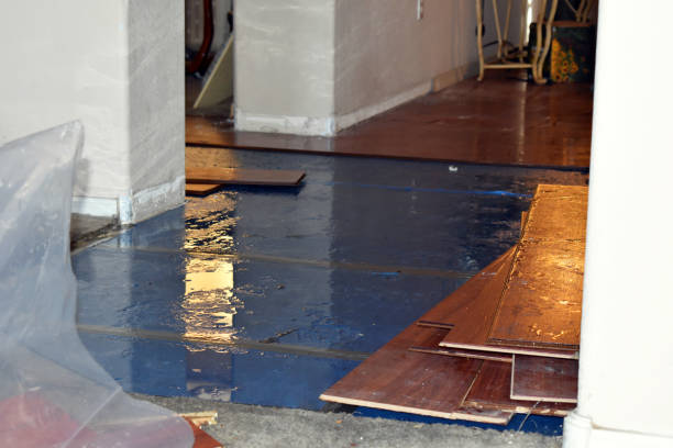 Professional Water Damage Restoration technician working in Sullivan, ME